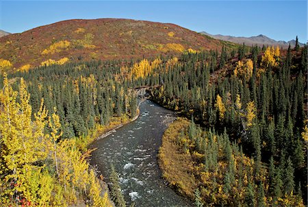 simsearch:854-03740296,k - Scenic view of Windy Creek along the trail to Sanctuary River headwaters, Denali National Park, Interior Alaska, Autumn Foto de stock - Direito Controlado, Número: 854-03739685
