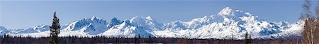 simsearch:854-03845573,k - Panoramic view of afternoon light over Mt. McKinley and the Alaska range, Denali State Park,  Southcentral Alaska, Winter Foto de stock - Direito Controlado, Número: 854-03739708