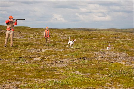 A couple hunts for birds on the tundra near Crystal Creek Lodge, King Salmon, Bristol Bay, Southwest Alaska, Summer Foto de stock - Con derechos protegidos, Código: 854-03739720