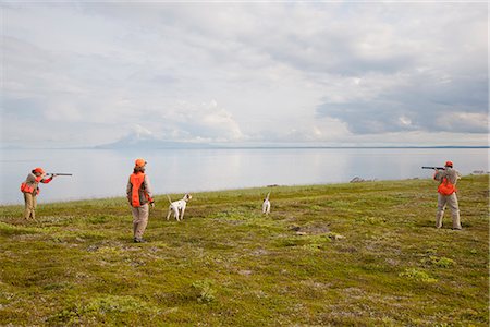 simsearch:854-03739733,k - Three people hunt for birds on the tundra near Crystal Creek Lodge, King Salmon, Bristol Bay, Southwest Alaska, Summer Foto de stock - Con derechos protegidos, Código: 854-03739721