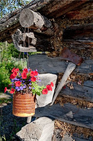 Flowers hang outside log cabin at Chena Indian Village on the Riverboat Discovery tour, Fairbanks, Interior Alaska, Summer Foto de stock - Con derechos protegidos, Código: 854-03739786