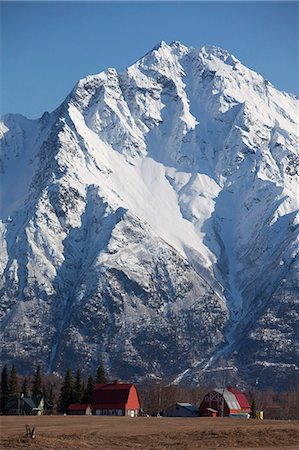 farmhouse landscape - View of a red farmhouse and barn at the base of Pioneer Peak and the Chugach Mountains, Matanuska-Susitna Valley, Southcentral Alaska, Spring Stock Photo - Rights-Managed, Code: 854-03740143