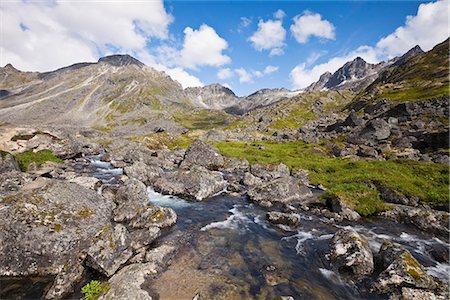 simsearch:854-03740296,k - Scenic view of Reed Creek along Reed Lakes Trail in the Talkeetna Mountains in Archangel Valley, Hatcher Pass, Southcentral Alaska, Summer Foto de stock - Direito Controlado, Número: 854-03740296