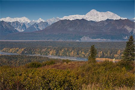 simsearch:854-05974386,k - Woman hiking on Kesugi Ridge at Little Coal Creek trail with a view of the southside of Mt. McKinley in the Alaska range, Denali State Park, Southcentral Alaska, Autumn Stock Photo - Rights-Managed, Code: 854-03844946