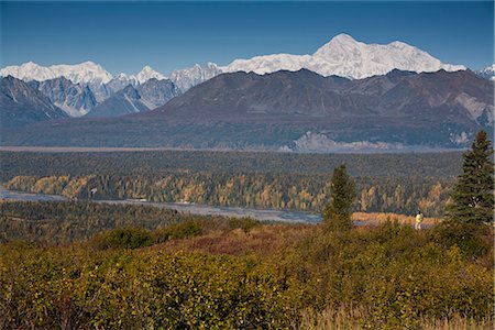 simsearch:854-03845884,k - Woman hiking on Kesugi Ridge at Little Coal Creek trail with a view of the southside of Mt. McKinley in the Alaska range, Denali State Park, Southcentral Alaska, Autumn Foto de stock - Con derechos protegidos, Código: 854-03844946