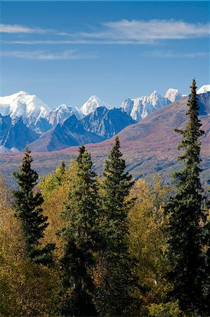 Scenic view of the Alaska Range from Kesugi Ridge Trail in Denali State Park, Southcentral Alaska, Autumn Stock Photo - Rights-Managed, Code: 854-03844963