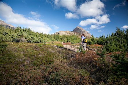 simsearch:400-03976229,k - Femme de randonnée dans la région de Glen Alpes de Chugach état parc Hidden Lake et sentier de la rampe, montagnes Chugach, Centre-Sud Alaska, automne Photographie de stock - Rights-Managed, Code: 854-03844974