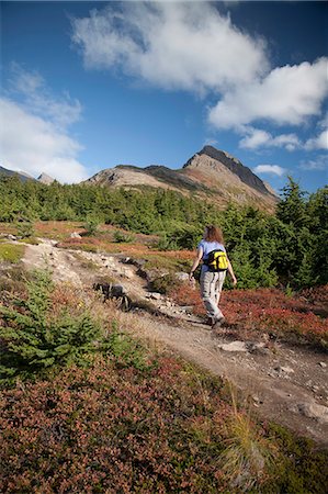 Woman hiking in the Glen Alps area of Chugach State Park, Hidden Lake and the Ramp Trail, Chugach Mountains, Southcentral Alaska, Autumn Stock Photo - Rights-Managed, Code: 854-03844973