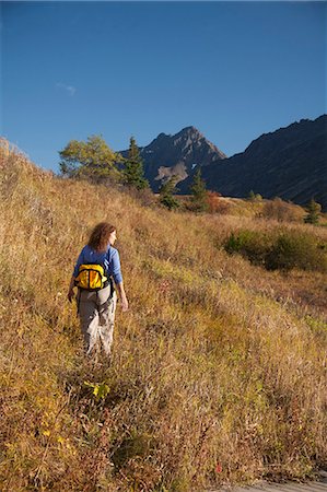 fall path woman - Woman hiker in Glen Alps area of Chugach State Park hiking on the Williwaw Lakes and Ballpark trail,  Chugach Mountains, Southcentral Alaska, Autumn Stock Photo - Rights-Managed, Code: 854-03844985