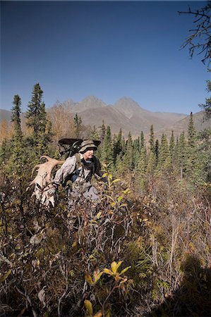 simsearch:854-03845061,k - Male bow hunter carries a 54" moose antler rack on his backpack as he hikes out of hunt area, Eklutna Lake area, Chugach State Park, Southcentral Alaska, Autumn Stock Photo - Rights-Managed, Code: 854-03844998