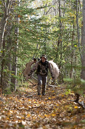 Male bow hunter carries a 54" moose antler rack on his backpack as he hikes out of hunt area, Eklutna Lake area, Chugach State Park, Southcentral Alaska, Autumn Foto de stock - Con derechos protegidos, Código: 854-03844991