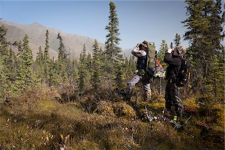 Male bow hunter and young son use binoculars to look for moose amongst Black Spruce, Eklutna Lake area, Chugach State Park, Southcentral Alaska, Autumn Foto de stock - Con derechos protegidos, Código: 854-03845006