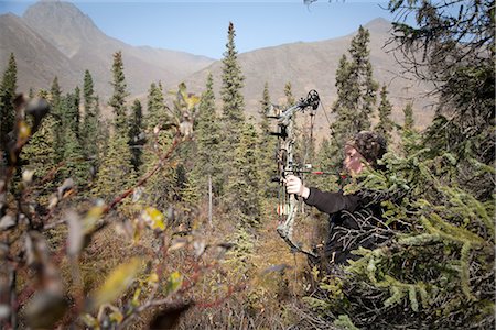 Young boy aims with a compound bow while bow hunting in a Black Spruce forest in the Eklutna Lake area, Chugach Mountains, Chugach State Park, Southcentral Alaska, Autumn Foto de stock - Con derechos protegidos, Código: 854-03845009