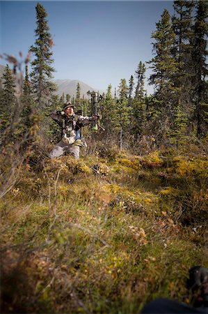 simsearch:854-03845023,k - Male bow hunter aims with a compound bow while bow hunting in a Black Spruce forest in the Eklutna Lake area, Chugach Mountains, Chugach State Park, Southcentral Alaska, Autumn Foto de stock - Direito Controlado, Número: 854-03845014