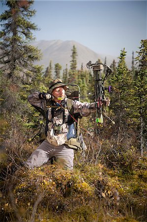 simsearch:854-03845023,k - Male bow hunter aims with a compound bow while bow hunting in a Black Spruce forest in the Eklutna Lake area, Chugach Mountains, Chugach State Park, Southcentral Alaska, Autumn Foto de stock - Direito Controlado, Número: 854-03845010