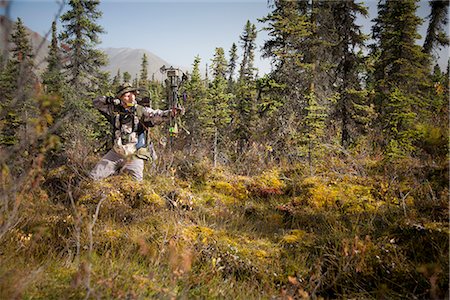 simsearch:640-06052109,k - Male bow hunter aims with a compound bow while bow hunting in a Black Spruce forest in the Eklutna Lake area, Chugach Mountains, Chugach State Park, Southcentral Alaska, Autumn Fotografie stock - Rights-Managed, Codice: 854-03845013