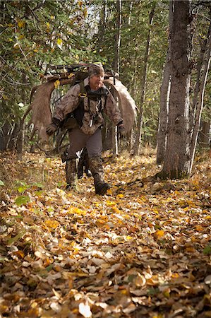 simsearch:854-02955754,k - Male bow hunter carries a 54" moose antler rack on his backpack as he hikes out of hunt area, Eklutna Lake area, Chugach State Park, Southcentral Alaska, Autumn Foto de stock - Con derechos protegidos, Código: 854-03845024