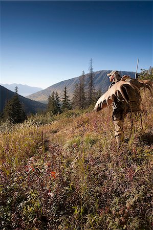 pistola de agua - Moose hunter carries a large moose antler rack as he hikes out from his hunt in the Bird Creek drainage area, Chugach National Forest, Chugach Mountains, Southcentral Alaska, Autumn Foto de stock - Con derechos protegidos, Código: 854-03845039