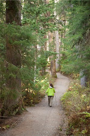 poteau - Femme de randonnée sur le sentier du ruisseau vainqueur en épinette et pruche de forêt boréale de pluie près de Girdwood, forêt nationale de Chugach, centre-sud de l'Alaska, automne Photographie de stock - Rights-Managed, Code: 854-03845031