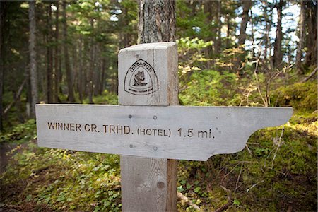 Close up of a mileage marker along the Winner Creek Trail in a Spruce and Hemlock boreal rain forest near Girdwood, Chugach National Forest, Southcentral Alaska, Autumn Stock Photo - Rights-Managed, Code: 854-03845032