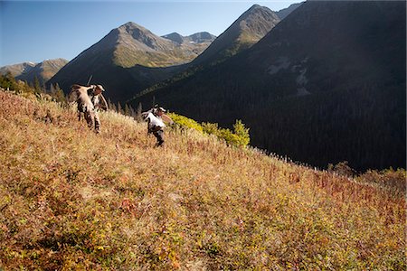 Deux chasseurs d'orignaux mâles portent leurs bois d'orignal trophée comme ils randonnée de sa chasse dans la zone de drainage du ruisseau oiseaux, forêt nationale de Chugach, montagnes Chugach, centre-sud de l'Alaska, automne Photographie de stock - Rights-Managed, Code: 854-03845045