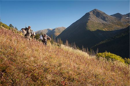 drainage - Two male moose hunters carry their trophy moose antlers as they hike out from his hunt in the Bird Creek drainage area, Chugach National Forest, Chugach Mountains, Southcentral Alaska, Autumn Foto de stock - Con derechos protegidos, Código: 854-03845047