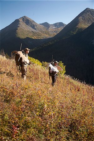 Two male moose hunters carry their trophy moose antlers as they hike out from his hunt in the Bird Creek drainage area, Chugach National Forest, Chugach Mountains, Southcentral Alaska, Autumn Stock Photo - Rights-Managed, Code: 854-03845048