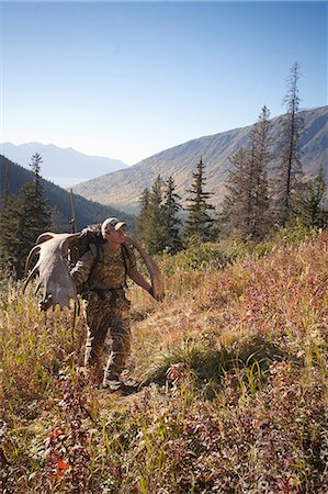 drainage - Moose hunter carries a large moose antler rack as he hikes out from his hunt in the Bird Creek drainage area, Chugach National Forest, Chugach Mountains, Southcentral Alaska, Autumn Foto de stock - Con derechos protegidos, Código: 854-03845041