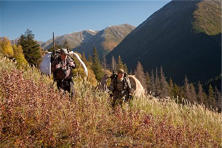 Two male moose hunters carry their trophy moose antlers as they hike out from his hunt in the Bird Creek drainage area, Chugach National Forest, Chugach Mountains, Southcentral Alaska, Autumn Foto de stock - Con derechos protegidos, Código: 854-03845043