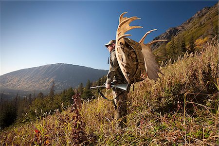 simsearch:854-03646871,k - Orignal mâle chasseur s'arrête pour profiter de la vue car il randonnées hors zone de chasse avec bois d'orignal trophée sur son sac, oiseau Creek bassin versant, les montagnes Chugach, forêt nationale de Chugach, centre-sud de l'Alaska, automne Photographie de stock - Rights-Managed, Code: 854-03845058