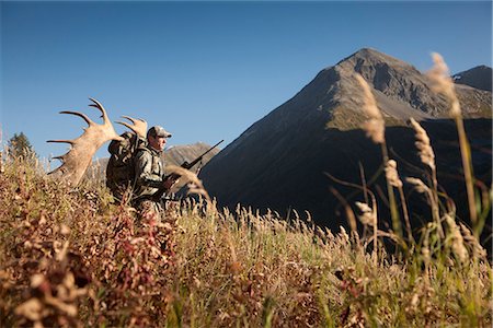 forêt nationale - Orignal mâle chasseur s'arrête pour profiter de la vue car il randonnées hors zone de chasse avec bois d'orignal trophée sur son sac, oiseau Creek bassin versant, les montagnes Chugach, forêt nationale de Chugach, centre-sud de l'Alaska, automne Photographie de stock - Rights-Managed, Code: 854-03845064