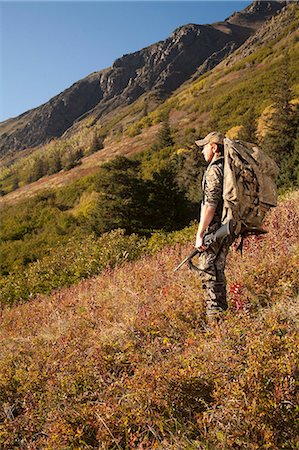Male moose hunter stops to enjoy the view, Bird Creek drainage area, Chugach Mountains, Chugach National Forest, Southcentral Alaska, Autumn Stock Photo - Rights-Managed, Code: 854-03845078
