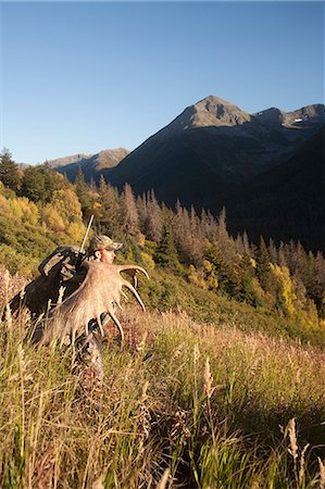 Chasse à l'orignal mâle randonnées hors de la zone de chasse avec des bois d'orignal trophée sur son sac, oiseau Creek bassin versant, les montagnes Chugach, forêt nationale de Chugach, centre-sud de l'Alaska, automne Photographie de stock - Rights-Managed, Code: 854-03845084