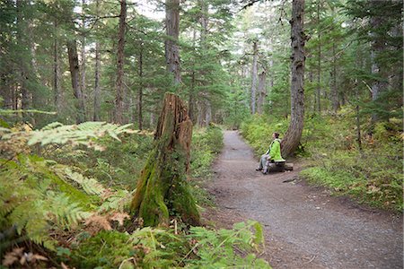 rainforest, people - Woman hiking on Winner Creek Trail in Spruce and Hemlock boreal rain forest near Girdwood, Alaska.  Chugach National Forest   fall  Southcentral, Alaska/nMR JSP-02 Stock Photo - Rights-Managed, Code: 854-03845093