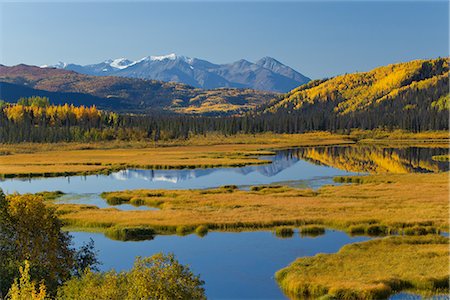 Scenic view of wetlands and yellow colors of Autumn along the Alaska Highway between Haines and Haines Junction, Yukon Territory, Canada Foto de stock - Con derechos protegidos, Código: 854-03845141