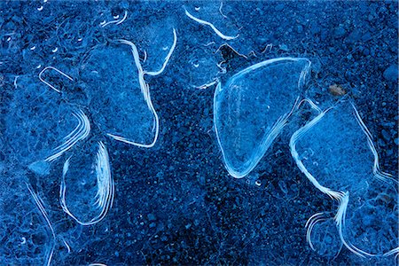 simsearch:854-03845147,k - Macro of ice forming along the shoreline of Mendenhall Lake near Juneau, Tongass National Forest, Southeast Alaska, Autumn Foto de stock - Con derechos protegidos, Código: 854-03845157