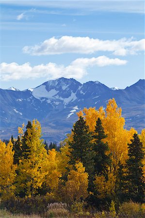 simsearch:854-02955572,k - Scenic view of mountains and colorful Aspen and Willow trees along the Alaska Highway between Haines and Haines Junction, Yukon Territory, Canada, Autumn Stock Photo - Rights-Managed, Code: 854-03845162