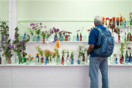 Male viewing various annuals entered in flower competition at the Alaska State Fair, Palmer, Southcentral Alaska, Autumn Stock Photo - Rights-Managed, Code: 854-03845178