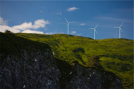 Pillar Mountain Wind Project wind turbines stand on Pillar Mountain on Kodiak Island, Southwest Alaska, Summer Stock Photo - Rights-Managed, Code: 854-03845187