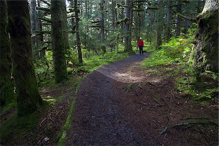 simsearch:400-09224968,k - Woman hiking in late afternoon on a trail through Sitka Spruce trees around Lake Gertrude in Fort Abercrombie State Historical Park, Kodiak Island, Southwest Alaska, Fall Foto de stock - Direito Controlado, Número: 854-03845249