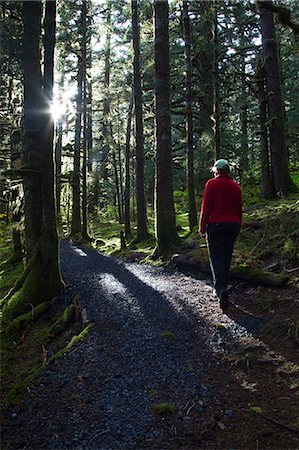 simsearch:400-09224968,k - Woman hiking in late afternoon on a trail through Sitka Spruce trees around Lake Gertrude in Fort Abercrombie State Historical Park, Kodiak Island, Southwest Alaska, Fall Foto de stock - Direito Controlado, Número: 854-03845251
