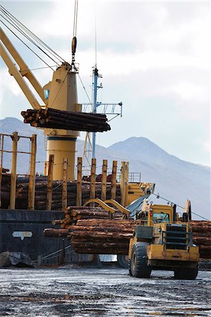 equipment for loading and unloading for ships - View of log ship being loaded with Sitka Spruce from Chiniak and Sequel Point at LASH dock in Women's Bay, Kodiak Island, Southwest Alaska, Autumn Stock Photo - Rights-Managed, Code: 854-03845262