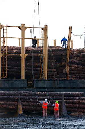 View of log ship being loaded with Sitka Spruce from Chiniak and Sequel Point at LASH dock in Women's Bay, Kodiak Island, Southwest Alaska, Autumn Foto de stock - Con derechos protegidos, Código: 854-03845271