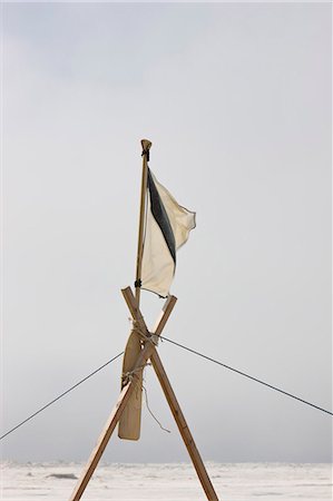 Team Flagge hergestellt aus Bartrobbe Haut über das Ufer Eis von der Tschuktschensee aus Ufer Barrow, Alaska Arktis, Sommer fliegen ein Inupiak Eskimo-Haut-Boot (Umiaq) Stockbilder - Lizenzpflichtiges, Bildnummer: 854-03845482