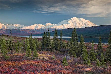 seasonal lake - Scenic landscape of Mt. McKinley and Wonder lake in the morning, Denali National Park, Interior Alaska, Autumn. HDR Stock Photo - Rights-Managed, Code: 854-03845619