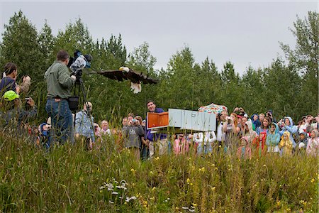 simsearch:700-00170501,k - Maire Dan Sullivan libère un aigle à tête blanche pendant le Festival d'automne à la terre de TLC oiseau surplombant les marais Potter avec une foule de spectateurs à la recherche sur le centre-sud de l'Alaska, Anchorage, automne Photographie de stock - Rights-Managed, Code: 854-03845628