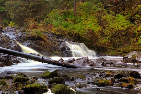 snag tree - Scenic view of hatchery Creek Falls, Prince of Wales Island, Southeast Alaska, Summer. HDR Stock Photo - Rights-Managed, Code: 854-03845834