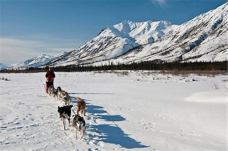 simsearch:854-03646625,k - A musher takes his team up the North Fork of the Koyukuk River in Gates of the Arctic National Park & Preserve, Arctic Alaska, Winter Stock Photo - Rights-Managed, Code: 854-03846013