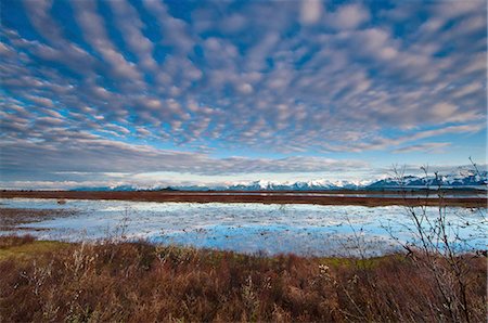 simsearch:854-03846095,k - Cirrocumulus nuages au-dessus Alaganik slough au matin, la forêt nationale de Chugach, Cordova, centre-sud de l'Alaska, printemps Photographie de stock - Rights-Managed, Code: 854-03846099