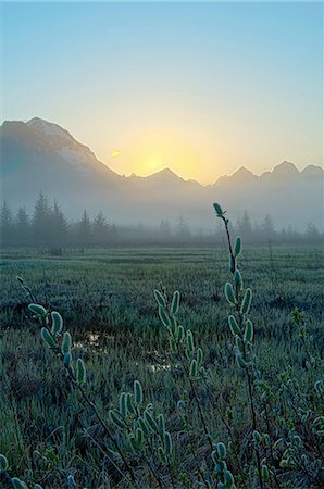 Morning fog hangs on the ground near the Copper River Highway as the sun rise over the Chugach Mountains, Chugach National Forest, Southcentral Alaska, Spring. HDR Fotografie stock - Rights-Managed, Codice: 854-03846114